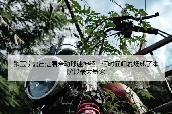 张玉宁复出进展牵动球迷神经，何时回归赛场成了本阶段最大悬念