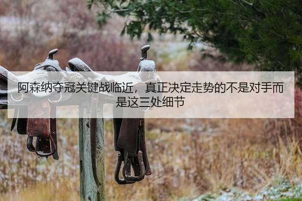 a-sen-na-duo-guan-guan-jian-zhan-lin-jin-zhen-zheng-jue-ding-zou-shi-de-bu-shi-dui-shou-er-shi-zhe-san-chu-xi-jie-2-493.jpg